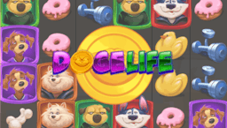 logo Doge Life