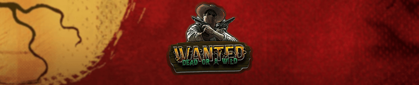 Wanted Dead or a Wild