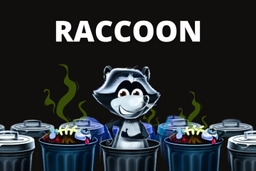 logo Raccoon