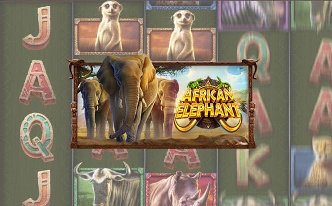 African Elephant machine à sous gratuite