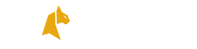 logo Felixspin