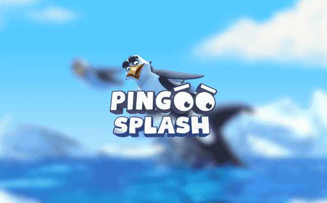 banner Pingoo Splash